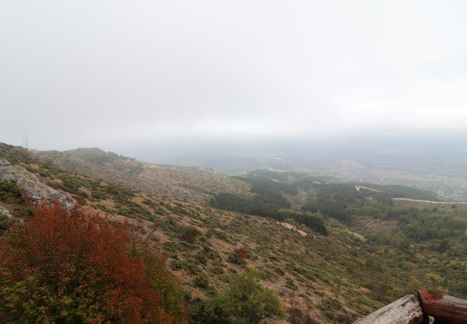 IMG 0575
