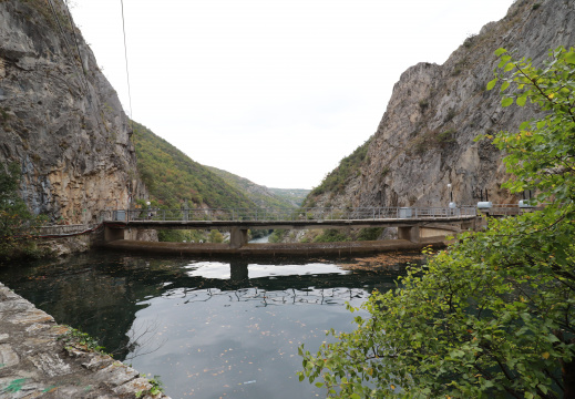 IMG 0659