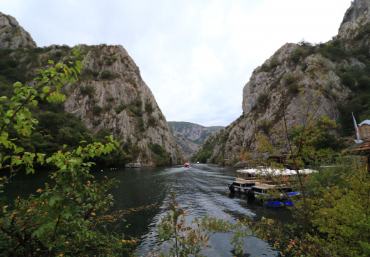 IMG 0664