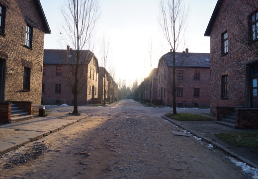 DSC04250