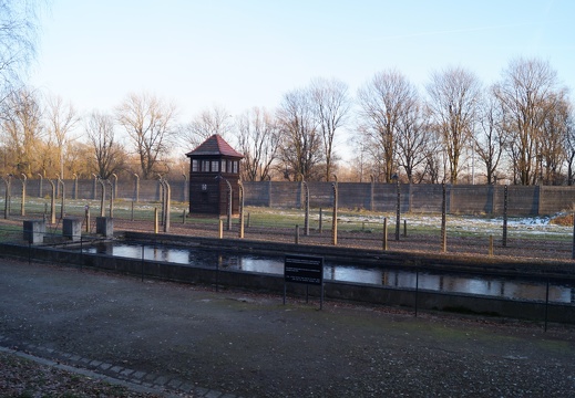 DSC04259
