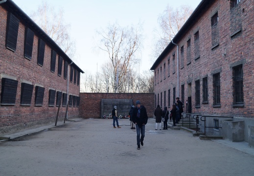 DSC04271
