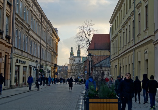 DSC04141