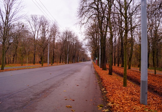 DSC04071