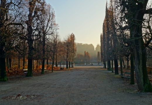 DSC03909