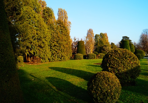 DSC03826