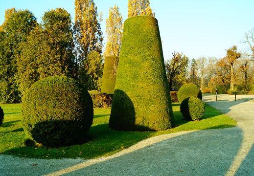 DSC03856