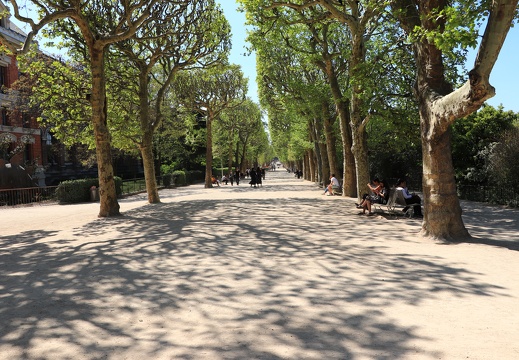 IMG 0018