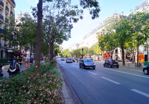 DSC06726