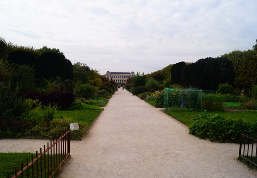 DSC06762
