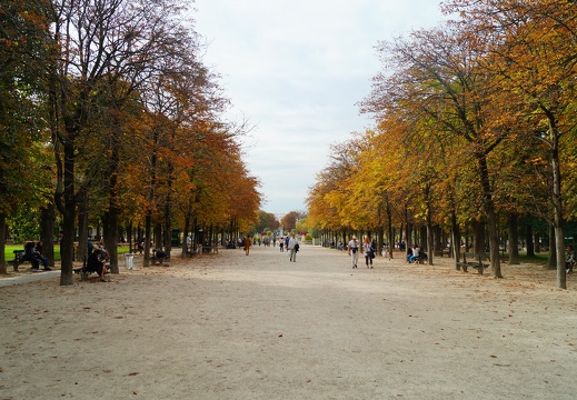 DSC06776