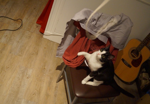 DSC01538