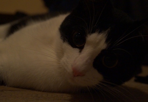 DSC01558