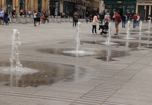 IMG 3093