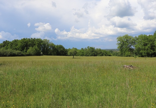 IMG 2792 (1)