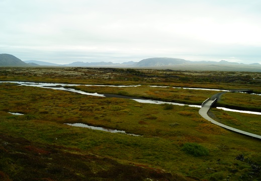 DSC06021