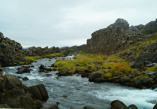 DSC06033