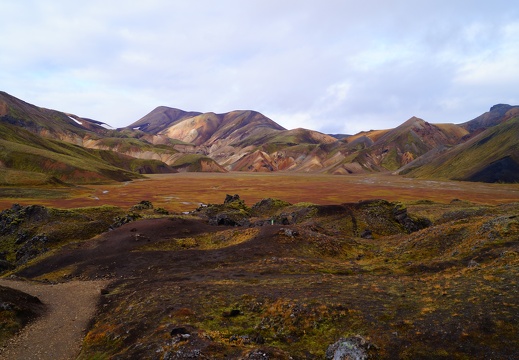 DSC06530