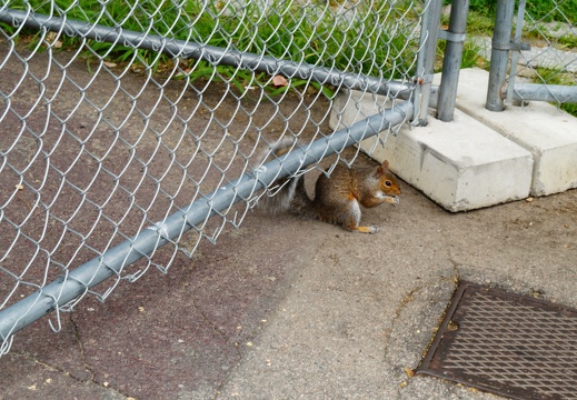 DSC05056