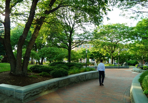 DSC05299