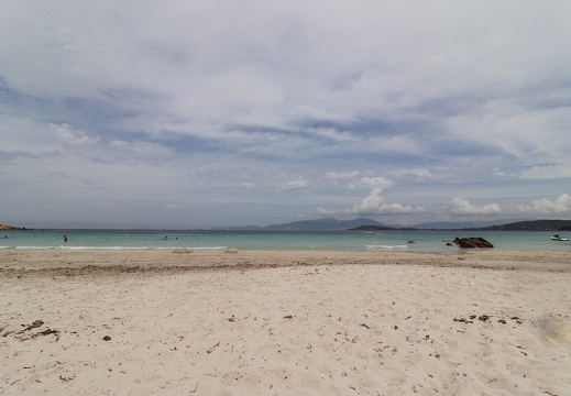 IMG 3543