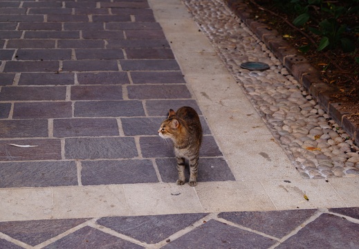 DSC02002