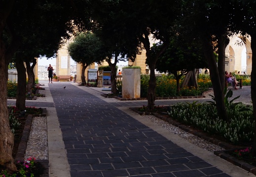 DSC02004