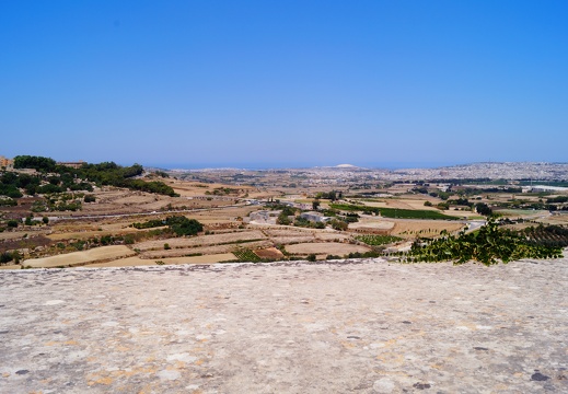 DSC01896