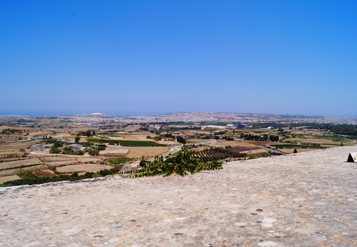 DSC01897