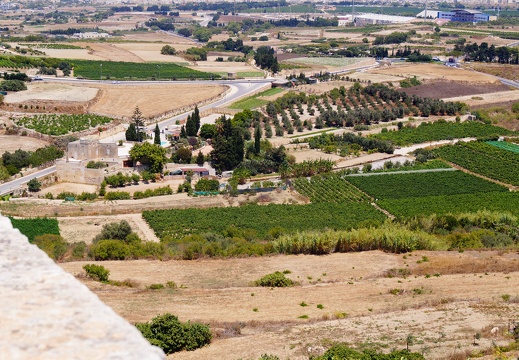 DSC01900