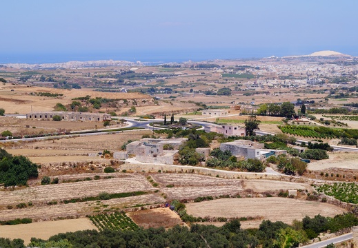 DSC01901