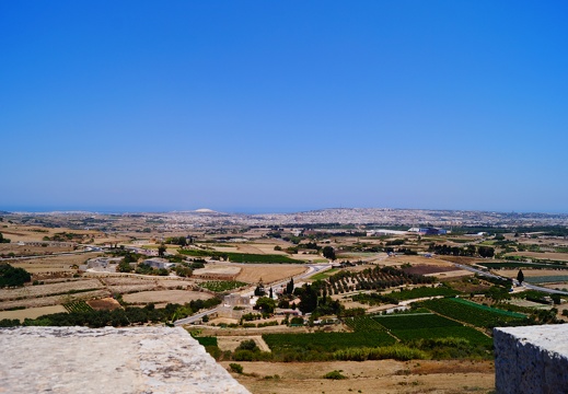 DSC01902