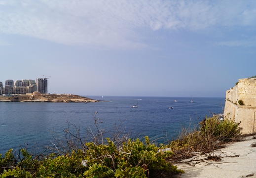 DSC02025