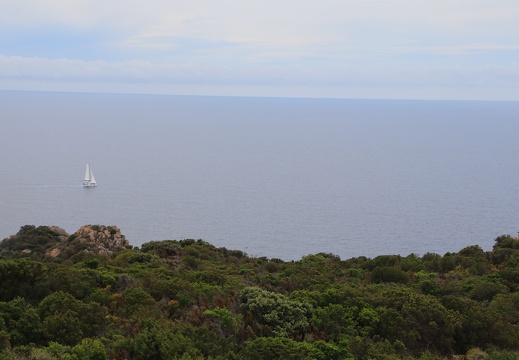 IMG 3652