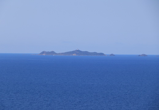 IMG 3949
