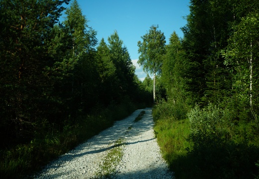 DSC00579