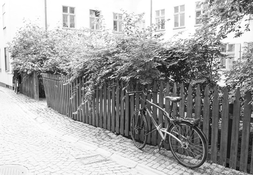 DSC00346