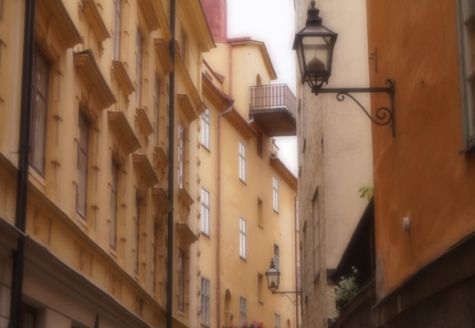 DSC00350
