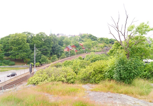 DSC00353