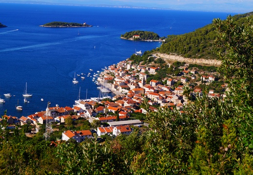 Vis