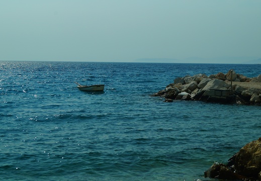 DSC03101