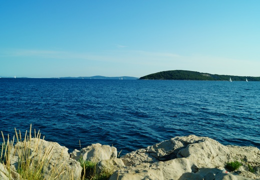 DSC02653