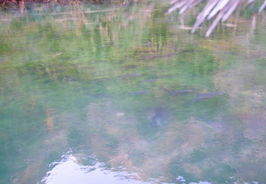 DSC08466