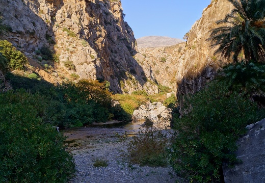 DSC08480