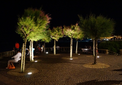 DSC01165