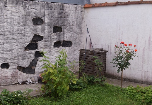 DSC00010