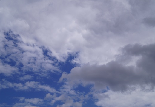 DSC00036