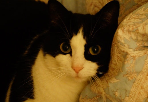 DSC04808