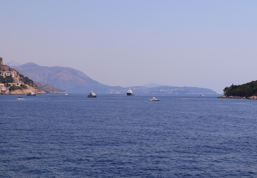 IMG 4467