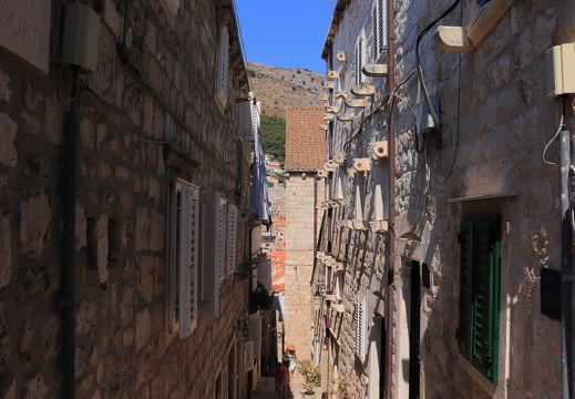 IMG 4501